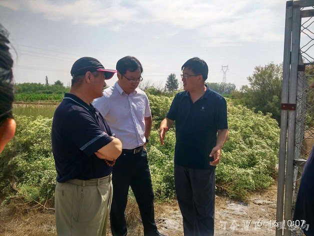 水利厅专家在解放闸沙壕渠试验站进行项目中期检查