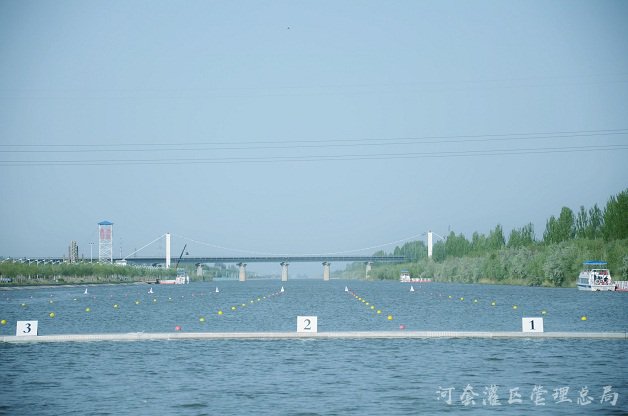草原的雄鹰  水里的蛟龙