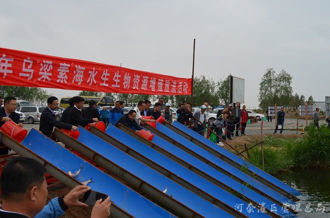2017年乌梁素海水生生物资源增殖放流活动在二点旅游景区举办