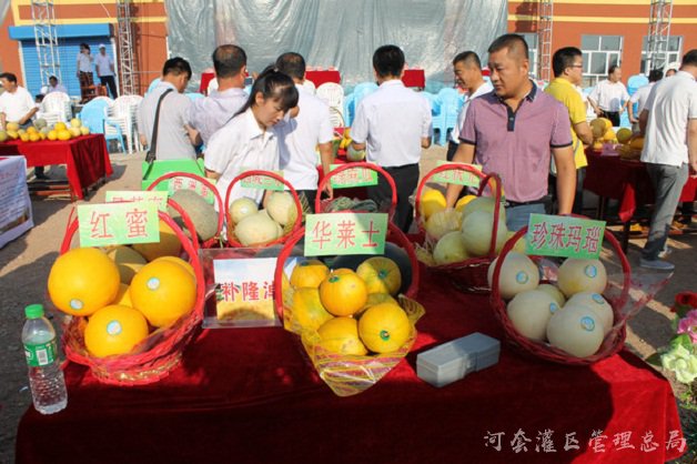 我们的生活比蜜瓜甜