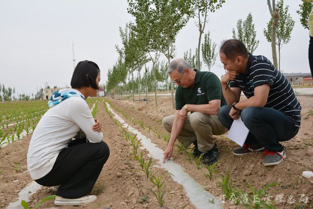 美国密歇根州立大学教授访问河套灌区