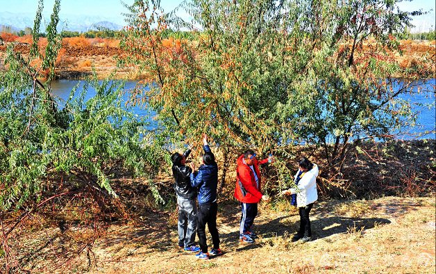 乌加河水利风景区成为国家水利风景区