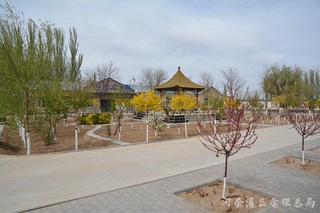 活力党建展新姿 提升干劲促发展
