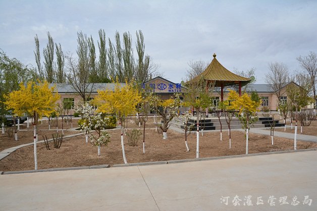 活力党建展新姿 提升干劲促发展