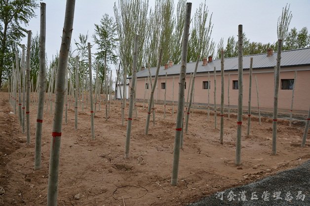活力党建展新姿 提升干劲促发展