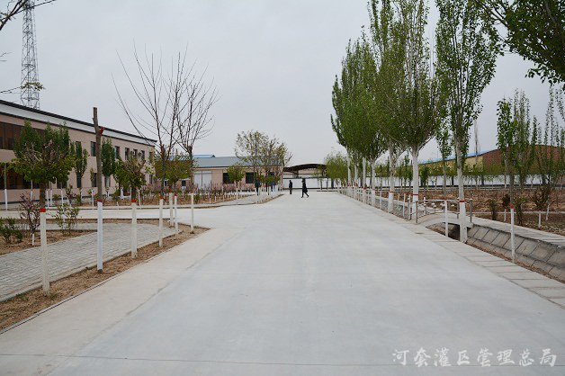 活力党建展新姿 提升干劲促发展