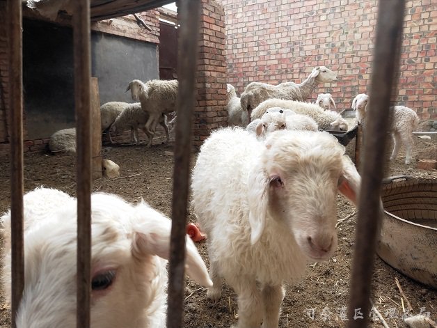 开展提标升级改造  打造美丽温馨所段