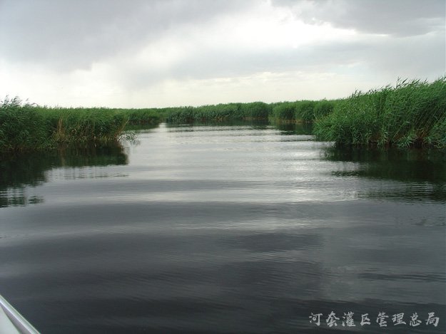 乌梁素海生态治理