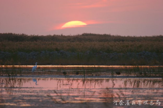 乌梁素海生态治理