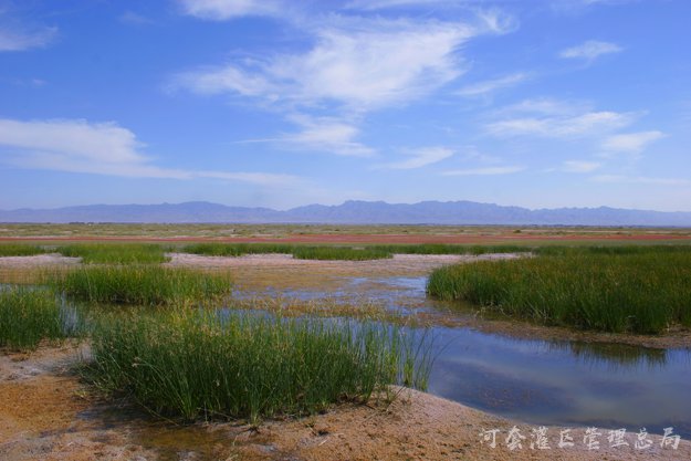 乌梁素海生态治理